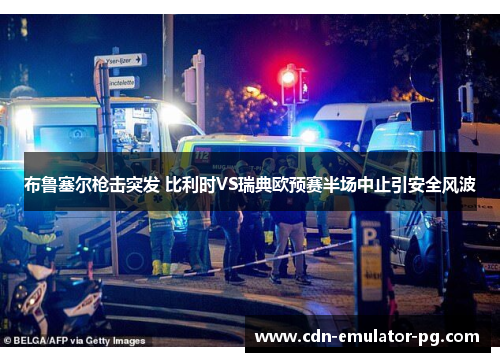 布鲁塞尔枪击突发 比利时VS瑞典欧预赛半场中止引安全风波