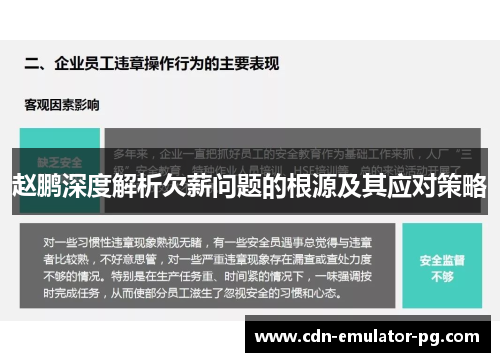 赵鹏深度解析欠薪问题的根源及其应对策略 赵鹏深度解析欠薪问题的根源及其应对策略