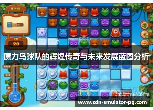 魔力鸟球队的辉煌传奇与未来发展蓝图分析