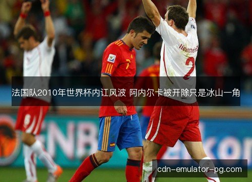 法国队2010年世界杯内讧风波 阿内尔卡被开除只是冰山一角